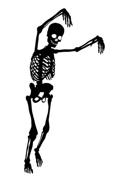 僵尸骨骼的轮廓 只有一条曲线 没有坡度或其他效果 颜色坚实 — 图库矢量图片