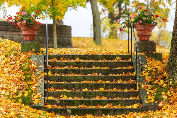 Musgo Velho Cobriu Escadas Pedra Durante Outono Colorido Estocolmo Suécia — Fotografia de Stock
