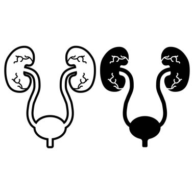 Set of Urology health human icon, anatomy medical body bladder sign, biology vector illustration .