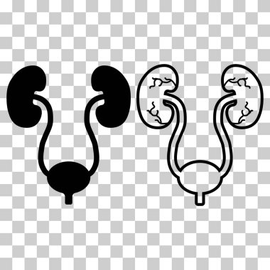 Set of Urology health human icon, anatomy medical body bladder sign, biology vector illustration .