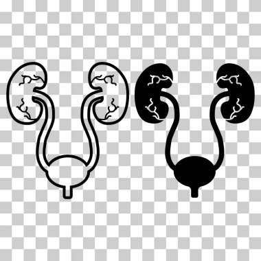 Set of Urology health human icon, anatomy medical body bladder sign, biology vector illustration .