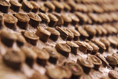 Kahverengi tüylü kalem dokusunu kapat