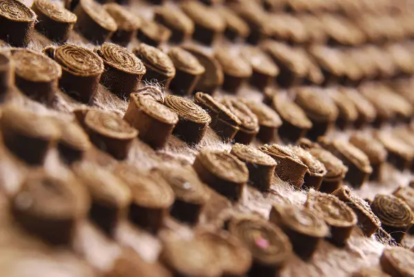 Kahverengi tüylü kalem dokusunu kapat