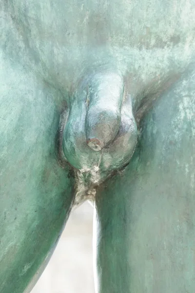 Penis Detail Male Genitalia Bronze Statue — Stock fotografie