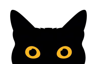 Sarı gözlü siyah bir kedi, alt kenardan bakıyor, beyaz bir arka planda izole edilmiş.
