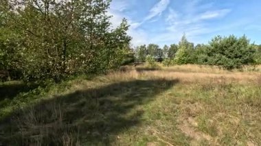 POV Walking on a Country Path Through Golden Meadow Field Summer. First-person view footage of a journey on a countryside dirt road through a golden meadow. This peaceful and calm scene, captured with smooth camera movement on a sunny summer day,..