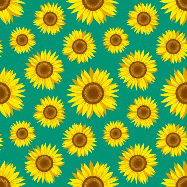 Turkuaz arka planda sevimli ayçiçeği desenli desen tasarımı. Dekoratif çiçek vektör çizimi