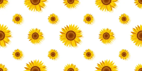 Sonnenblumen Nahtloses Muster Auf Weißem Hintergrund Dekorative Niedliche Florale Vektor — Stockvektor