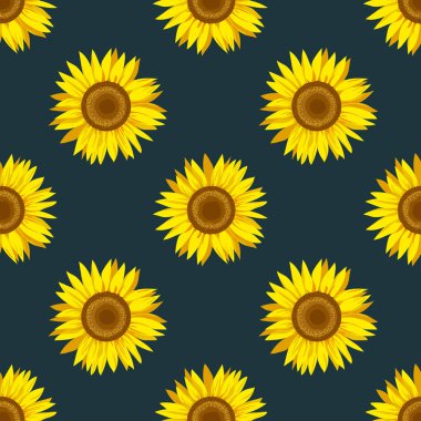 Lacivert bir arka planda ayçiçeği deseni var. Dekoratif sevimli çiçek vektör çizimi. Kumaş tasarımını yazdır