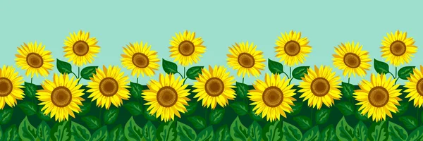 Sonnenblumenfeld Sonniger Tag Landschaft Grenze Hintergrund Sommerliche Naturkulisse Mit Blauem — Stockvektor