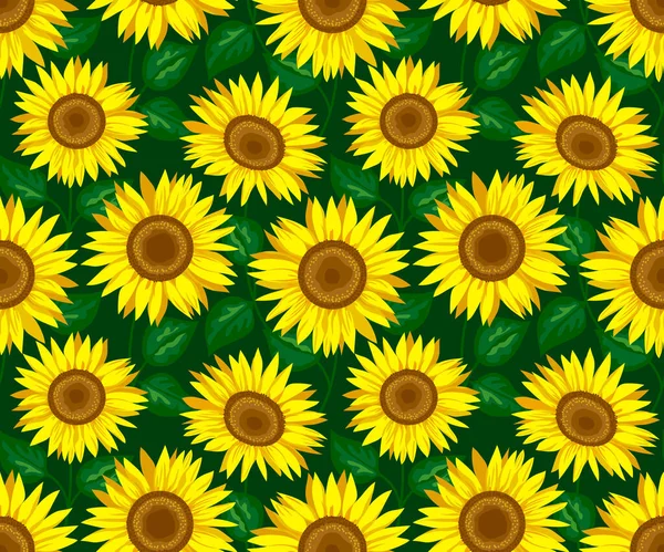 Sunflower Seamless Pattern Dark Green Background Decorative Cute Floral Vector — Stock Vector