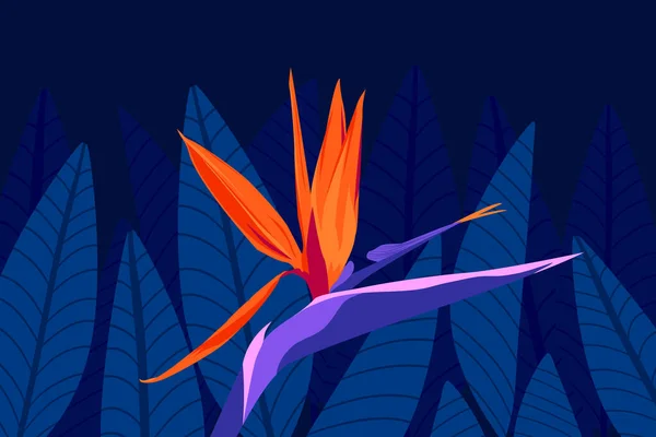 Flores Hojas Exóticas Tropicales Verano Ilustración Vectorial Oscura Selva Nocturna — Archivo Imágenes Vectoriales