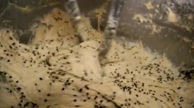 Endüstriyel karışımda panettone hamurunu hazırlıyorum. Yüksek kalite 4k görüntü