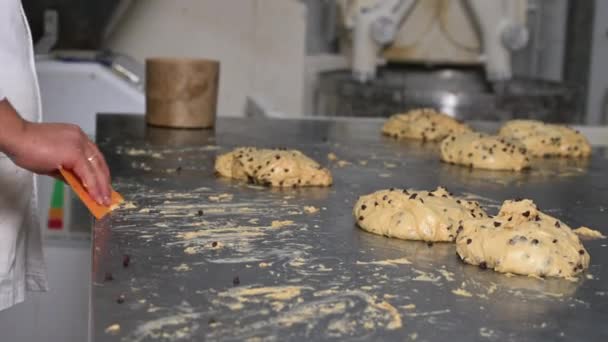 Pasta Şefi Hamur Parçalarını Panettone Üretimi Için Kesiyor Yüksek Kalite — Stok video