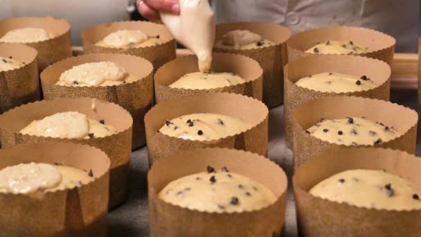 Confectioner Topping Panettone Cake Dengan Kantong Pipa Mengkilap Mengisi Manis — Stok Video