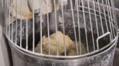 Endüstriyel karışımda panettone hamurunu hazırlıyorum. Yüksek kalite 4k görüntü