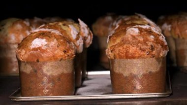 Bir grup panettone keki fırının fırınında pişiriliyor. Yüksek kalite 4k görüntü