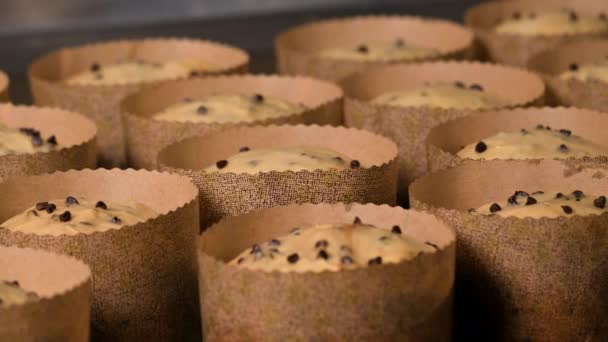生の発酵パントーンのイタリアのクリスマスケーキの束を焼く準備ができています 高品質4K映像 — ストック動画