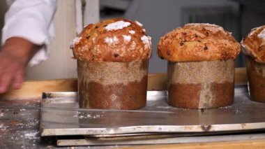 Finishing the preparation of Panettone at the bakery. Italian christmas sweet cakes. . High quality 4k footage
