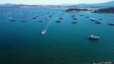 Aerial view of mussel farm platforms fishing industry aquaculture seafood production in O Grove, Galicia Spain. High quality 4k footage
