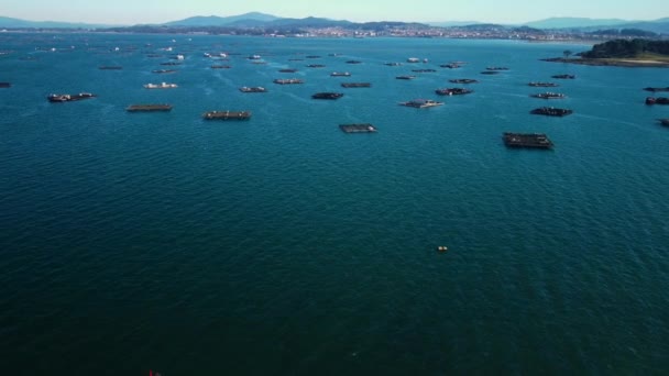 ガリシアスペインのOグローヴでのマスセル養殖プラットフォーム漁業養殖水産物生産の空中ビュー 高品質4K映像 — ストック動画