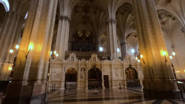 Zaragoza Spanyolország 2023 Március Salvadori Katedrális Belseje Seo Kiváló Minőségű — Stock videók