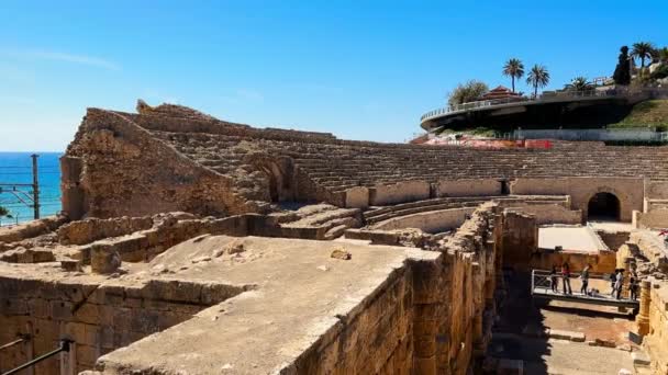 Oud Romeins Amfitheater Tarragona Spanje Hoge Kwaliteit Beeldmateriaal — Stockvideo