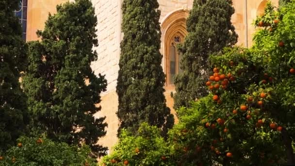 西班牙加泰罗尼亚塔拉戈纳大教堂门面 高质量的4K镜头 — 图库视频影像
