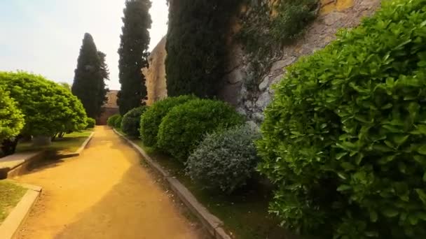 Över Arkeologiska Walk Med Monumentala Romerska Väggar Tarragona Spanien Högkvalitativ — Stockvideo