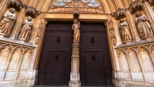 Tarragona Katedrali Cephesi Katalonya Spanya Yüksek Kalite Görüntü — Stok video