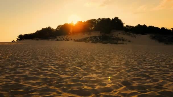 皮拉特沙丘 欧洲最大的沙丘 高质量的4K镜头 — 图库视频影像