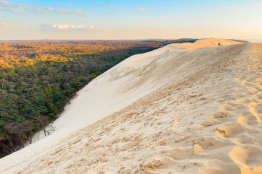 Dune du Pilat, Fransa 'nın Avrupa' daki en büyük kum tepesi. Yüksek kaliteli fotoğrafçılık.