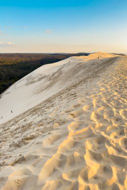 Dune du Pilat, Fransa 'nın Avrupa' daki en büyük kum tepesi. Yüksek kaliteli fotoğrafçılık.