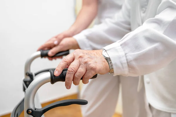 Nurse Assists Her Senior Patient Folding Walker Recuperation Elderly Seniors — Stock Photo, Image