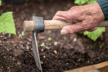 Sebze bahçesinde çalışırken yaşlı adamın ellerini çapalarken yaklaş. Yüksek kalite fotoğraf