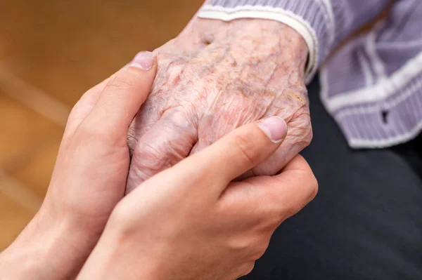Helping hands, care for the elderly concept. High quality photo