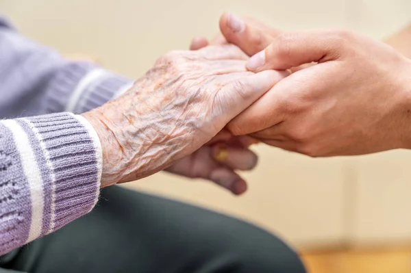 Helfende Hände Altenpflege Hochwertiges Foto Stockbild