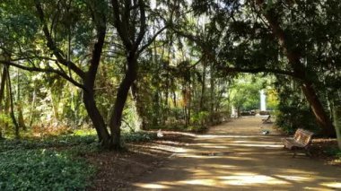 Campo Grande, Valladolid, Kastilya ve Leon, İspanya parkındaki ağaçların arasında yürüyoruz. Yüksek kalite 4k görüntü