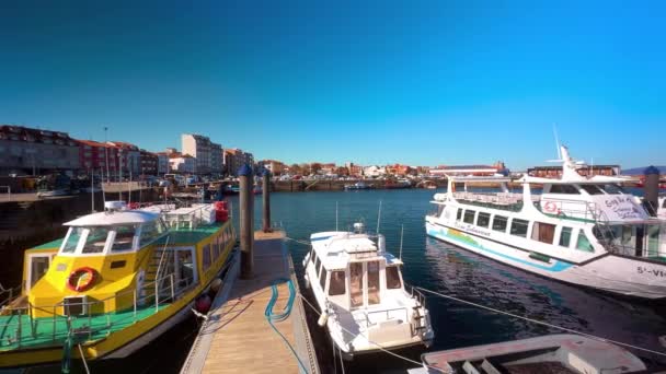 アロサ川の観光船 ガリシア スペインのO Grove港 高品質の4K映像 — ストック動画
