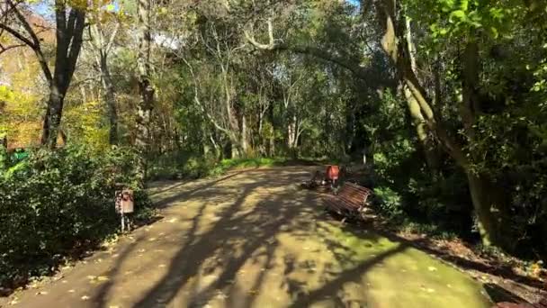 在坎波 格兰德公园 瓦拉多利德公园 卡斯蒂利亚公园和西班牙莱昂公园的树间漫步 高质量的4K镜头 — 图库视频影像