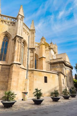 Tarragona Katedrali cephesi, Katalonya, İspanya. Yüksek kaliteli fotoğrafçılık