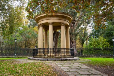 Gernika 'nın eski meşe ağacı Biscayan halkı için geleneksel özgürlükleri simgeliyor. Yüksek kalite fotoğraf