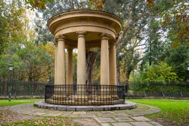 Gernika 'nın eski meşe ağacı Biscayan halkı için geleneksel özgürlükleri simgeliyor. Yüksek kalite fotoğraf