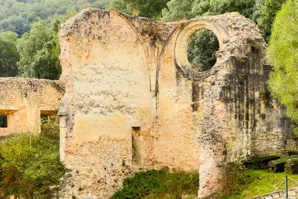 İspanya 'nın Burgos eyaletindeki San Pedro de Arlanza Manastırı harabelerinin manzarası. Yüksek kaliteli fotoğrafçılık