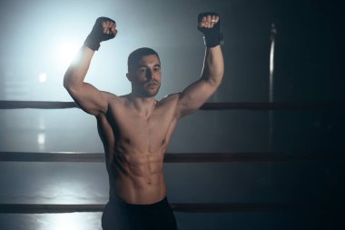 Kolları havada bir boksör zaferi kutluyor. Yüksek kalite fotoğraf