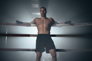 Boks ringinin iplerine yaslanan bir dövüşçü. Yüksek kalite fotoğraf