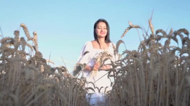 Güneşli bir günde, buğday tarlasında yürüyen beyaz elbiseli güzel Latin bir kadın. Yüksek kaliteli FullHD görüntüler
