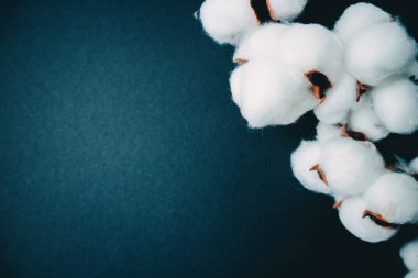 Mavi arka planda ahşap tahta ve pamuk. Uzayı kopyala Temiz arkaplan