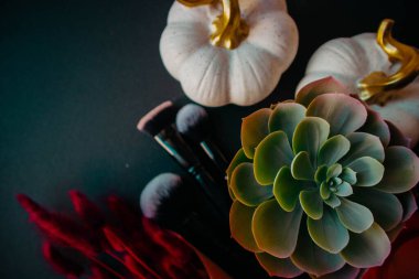 Siyah bir arka planda kaktüs, balkabağı ve makyaj fırçası