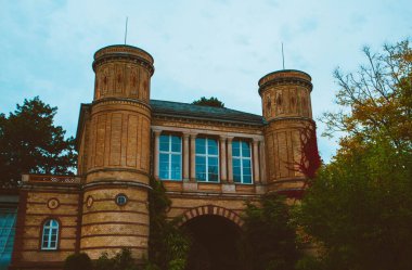 Mavi gökyüzü, yeşil bitkiler ve palmiyelerden oluşan güzel bir bina. Alman şehri Karlsruhe 'nin Botanik Bahçesi
